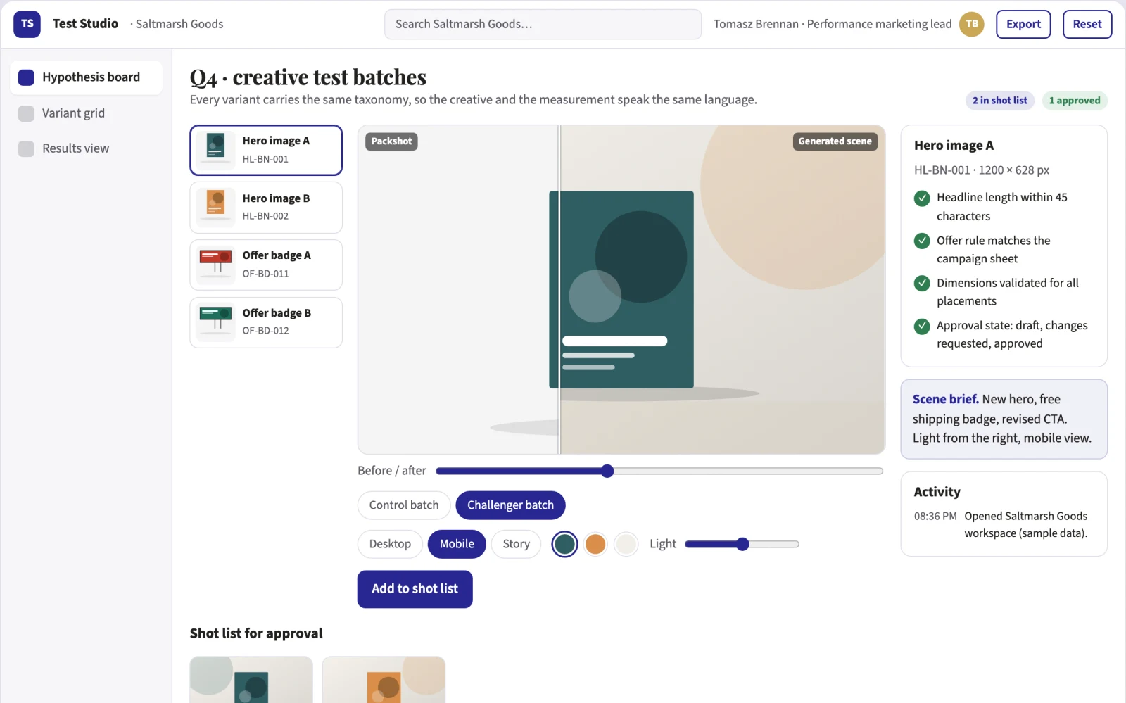 Demo screen of Advertising creative testing service